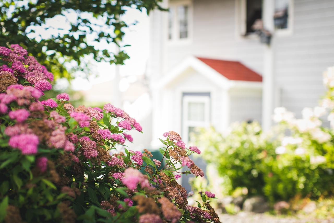 Abbie'S Garden Bed & Breakfast Grand Bank Luaran gambar