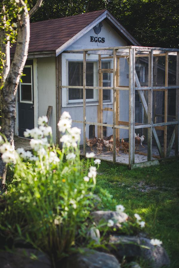 Abbie'S Garden Bed & Breakfast Grand Bank Luaran gambar